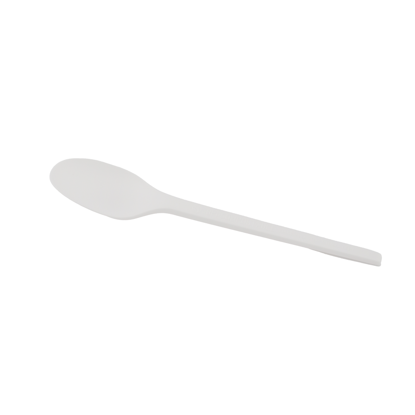 Spoon CPLA 16.5cm