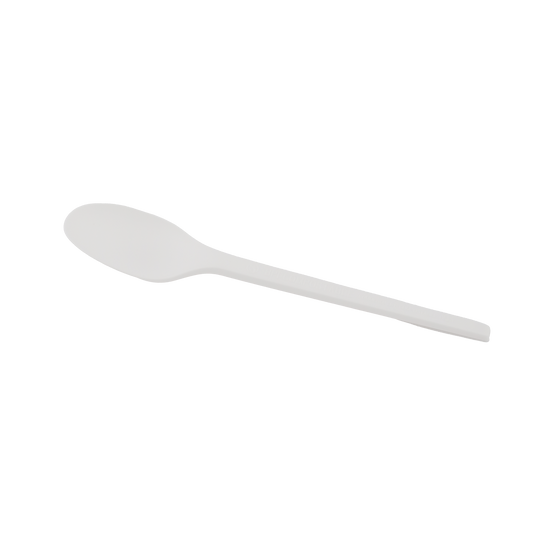 Spoon CPLA 16.5cm