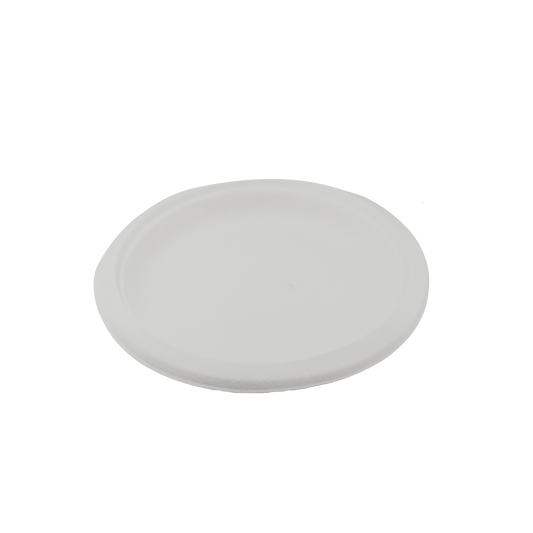 9" Round Sugarcane White Plate