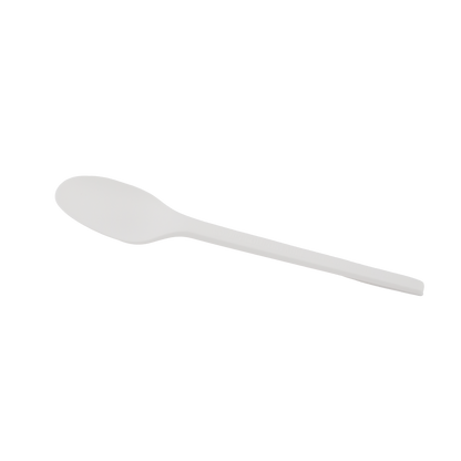 Spoon CPLA 16.5cm