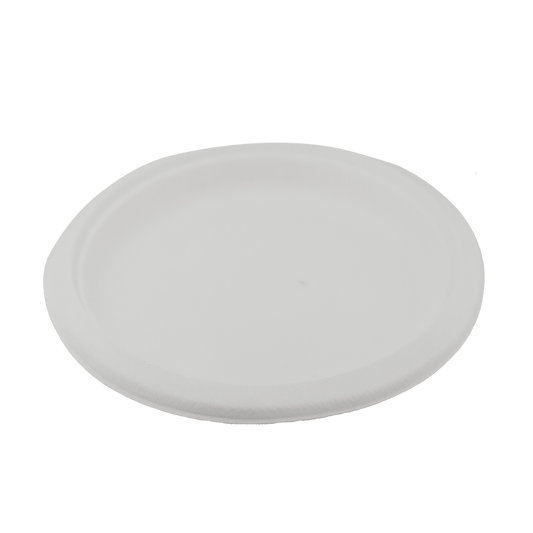 10" Round Sugarcane White Plate